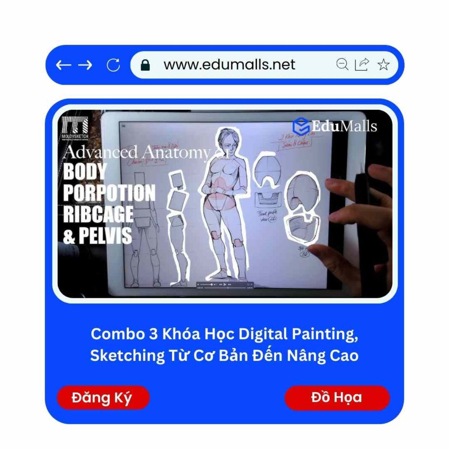 combo 3 khoa hoc digital painting sketching tu co ban den nang cao edumalls ma 9211