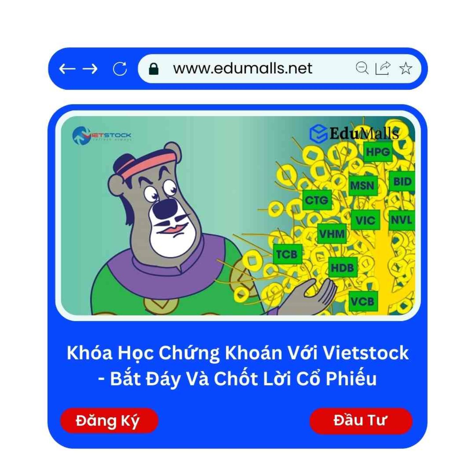 khoa hoc chung khoan voi vietstock bat day va chot loi co phieu edumalls ma 9114c