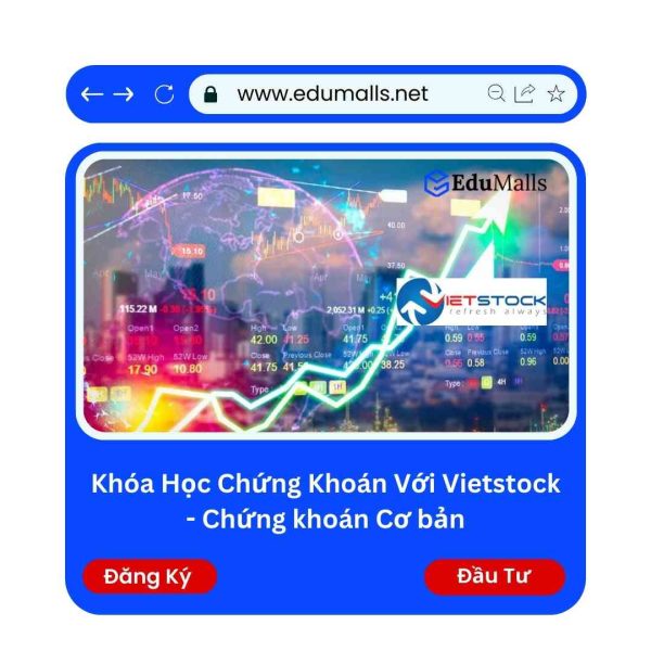 Khóa học Chứng Khoán Với Vietstock – Chứng Khoán Cơ bản | Mã: 9114B