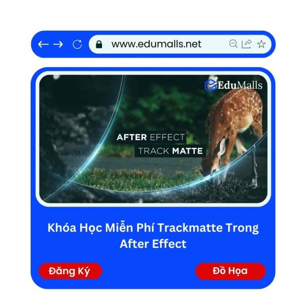 Khóa Học Miễn Phí Trackmatte Trong After Effect | Mã: 9246