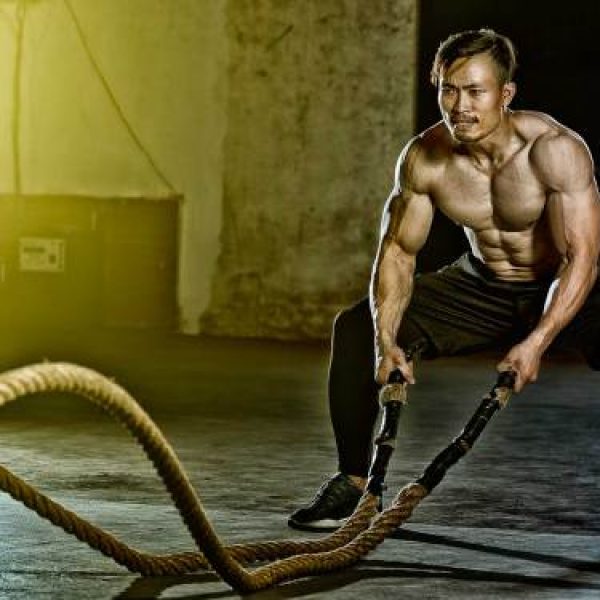 Khoá Học Bí Mật Tạo Nên Cơ Thể Hoàn Hảo – Phạm Bảo Long