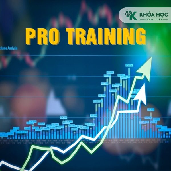 Combo Khóa Học Nukida Khoá B: Pro Training – Khóa A: Bull Bear Law