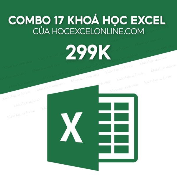 Combo 17 Khoá Học Excel Của Hocexcelonline.com
