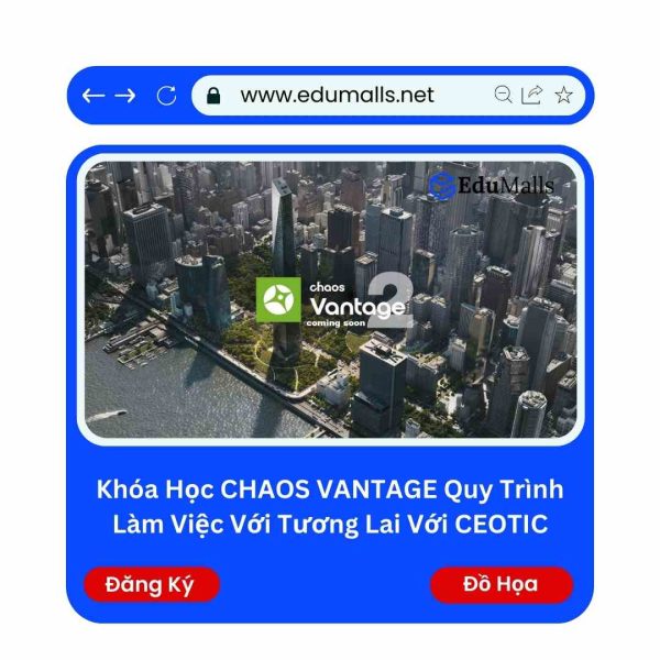 Khóa Học CHAOS VANTAGE Quy trình làm việc Với tương lai Với CEOTIC | Mã: 9130