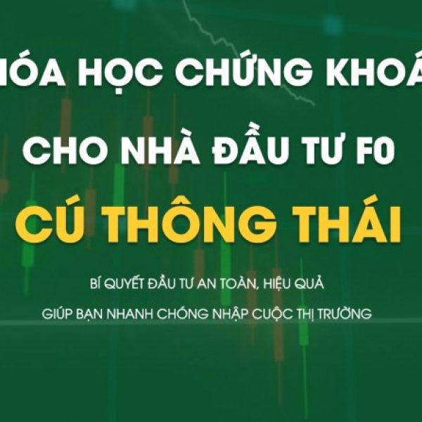 Khóa Học Chứng Khoán Cho Nhà Đầu Tư F0 – Cú Thông Thái