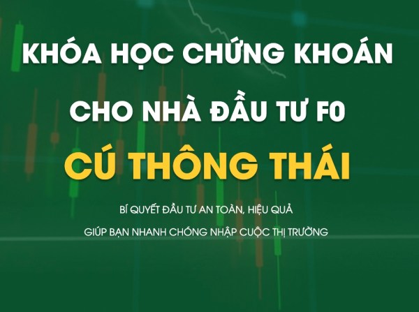 Khóa Học Chứng Khoán Cho Nhà Đầu Tư F0 – Cú Thông Thái 1 Khóa Học Chứng Khoán Cho Nhà Đầu Tư F0 – Cú Thông Thái
