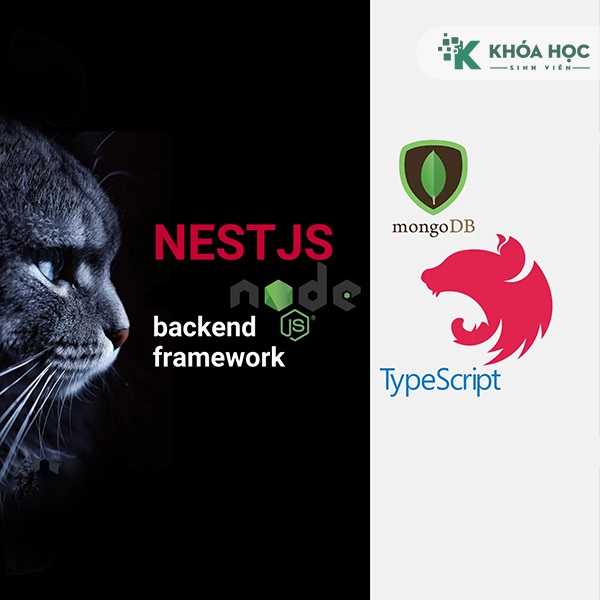 Khóa Học Nest.JS Với Typescript/mongodb Hoidanit 1 Khóa Học Nest.JS Với Typescript/mongodb Hoidanit