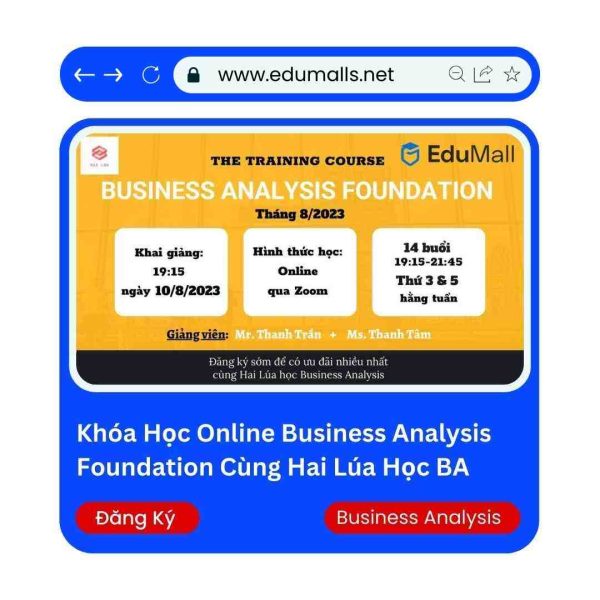 Khóa Học Online Business Analysis Foundation Cùng Hai Lúa Học Business Analysis | Mã: 9019