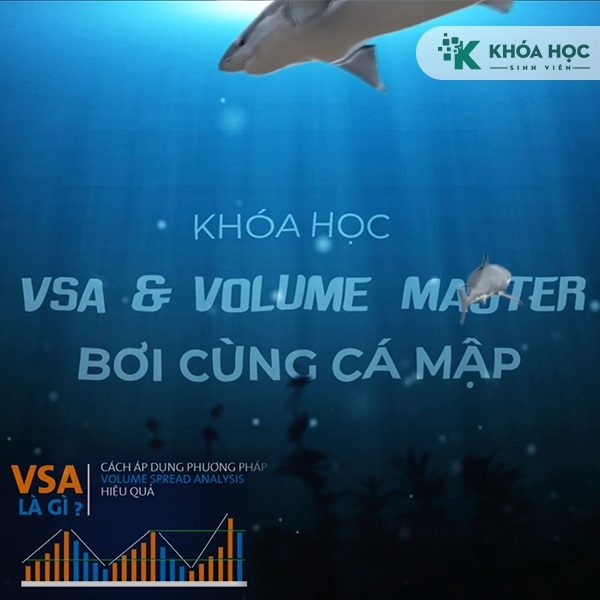 Khoá Học VSA + Volume Bơi Cùng Cá Mập Cùng VnRebates