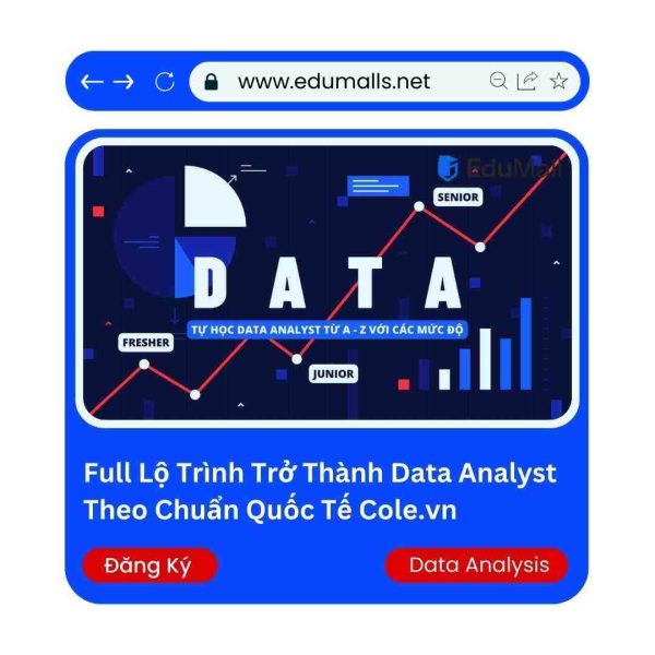 Full Lộ Trình Trở Thành Data Analyst Theo Chuẩn Quốc Tế Cole.vn | Mã: 9022