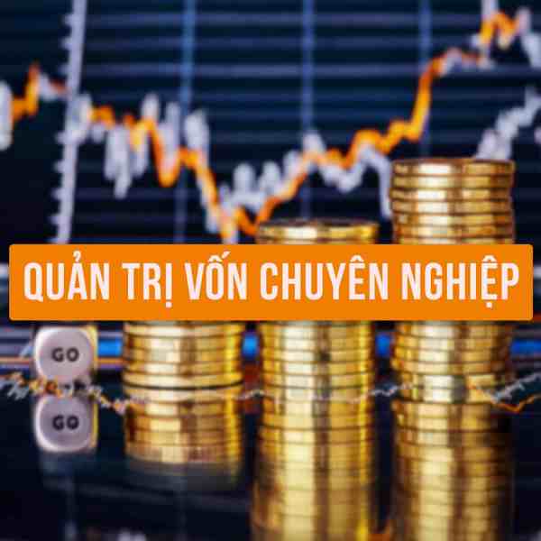 Khóa Học Quản Trị Vốn Chuyên Nghiệp Trong Đầu Tư Cùng Davinci Academy 1 Khóa Học Quản Trị Vốn Chuyên Nghiệp Trong Đầu Tư Cùng Davinci Academy