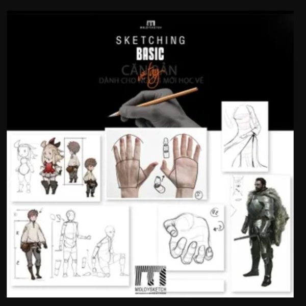 Khóa Học Vẽ Tay Căn Bản