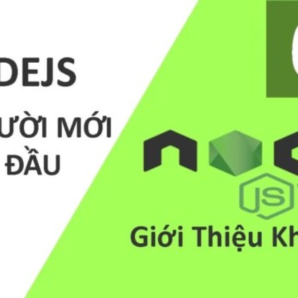 Khóa Học Lập Trình NodeJS Level 1